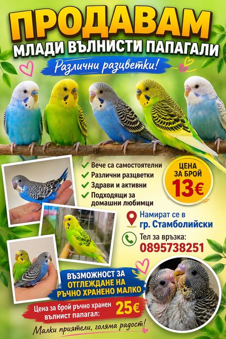 Млади вълнисти папгали