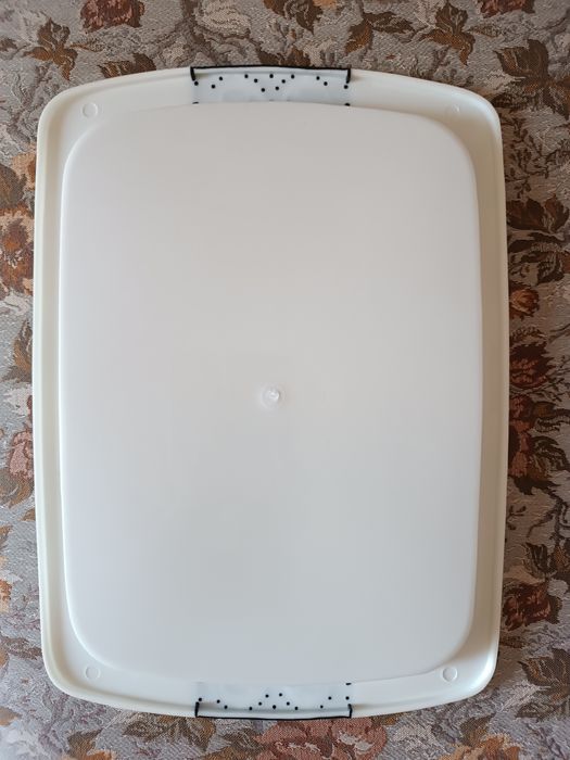 Поднос пластмассовый