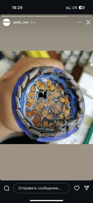 Ввг нг аввг нг аввг пвс пугв пугнп кабель осартмент