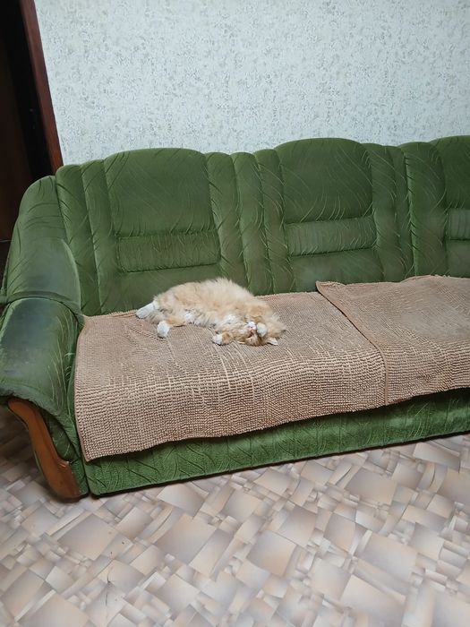 Отдам бесплатно диван