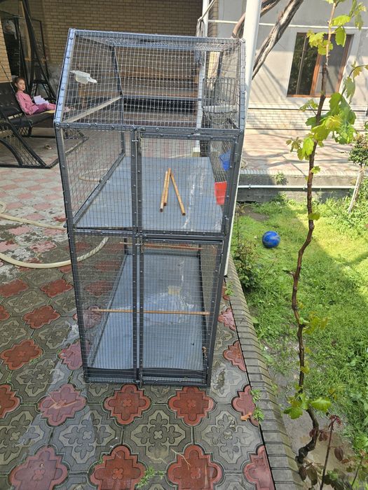 Valer sotiladi holati zur