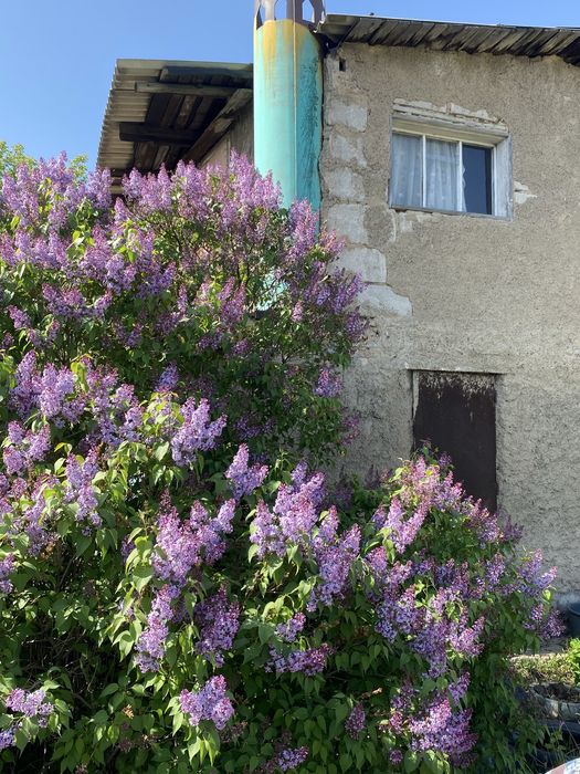 Продам дачу. Общество ,,Ромашка,, В Сортировке