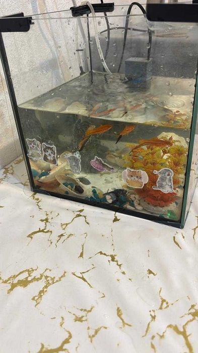 Продам аквариум с рыбками