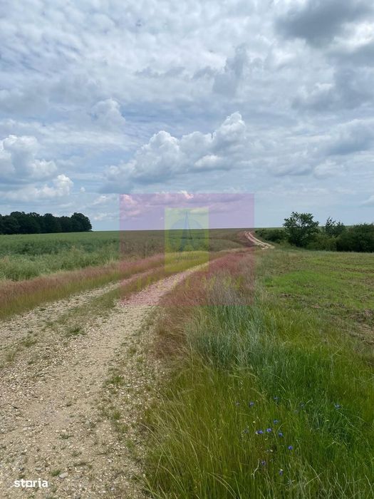 Teren 6,26 ha lângă DEx12 Pitești