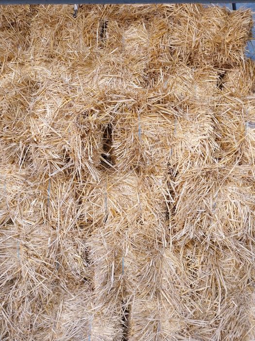 Baloti de paie de vânzare