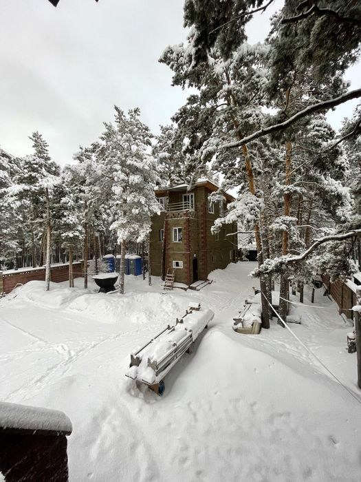 Дом в лесу Боровое