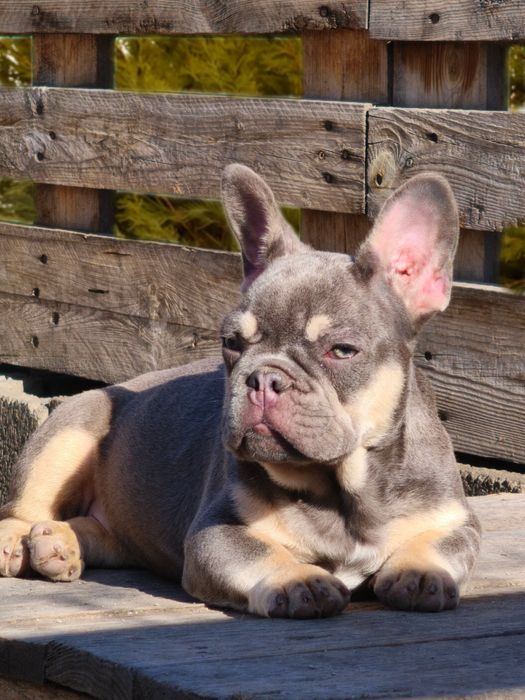 Замечательная девочка