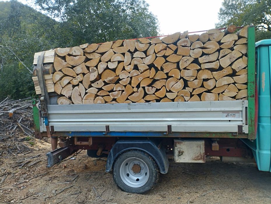 Lemne de foc fag capete uscate sau verzi 600lei tona sau la metru ster