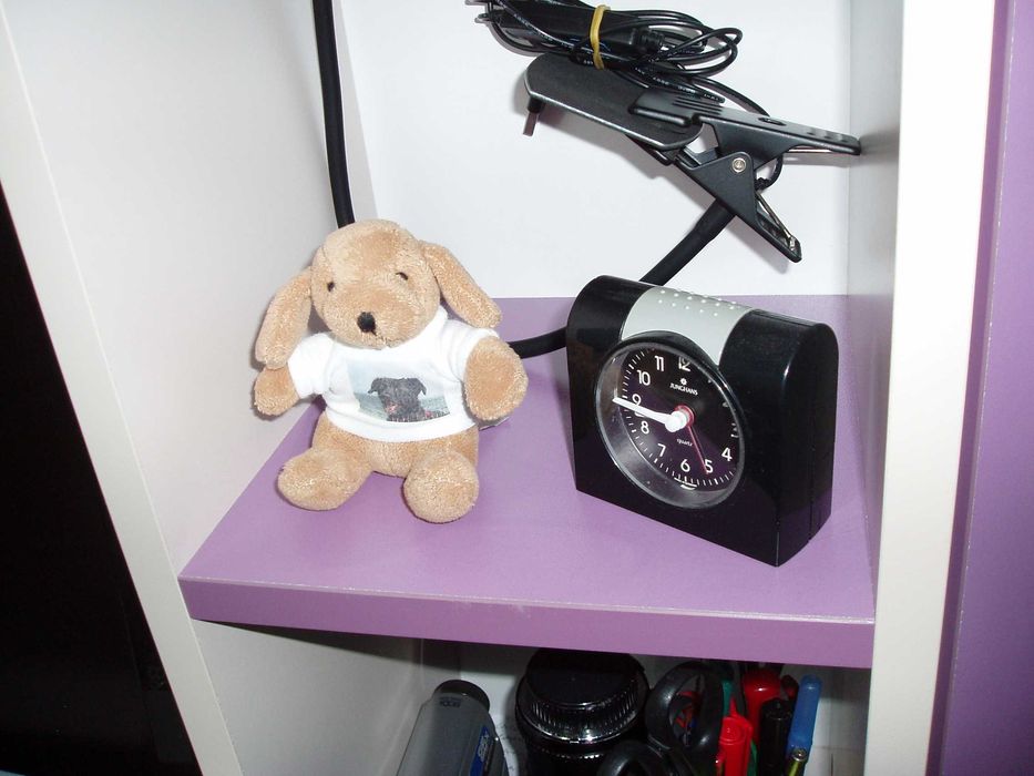 Olympus Camedia Digital C-470 Zoom