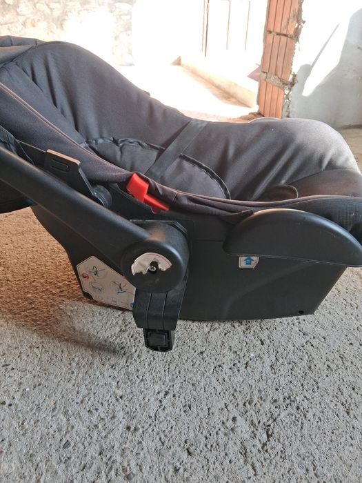 Scoica bebelusi ,arata foarte bine