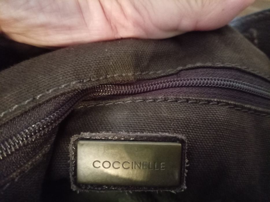 Geanta coccinele