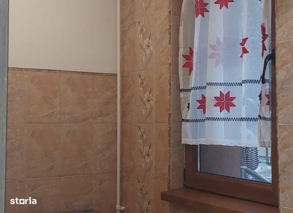 Apartament  1 camera Podu Ros , 22 metri, etaj parter Cod:163061