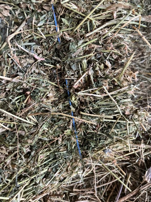 Baloti dreptunghiulari lucerna