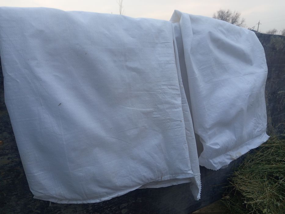 Бос кап мечок бар