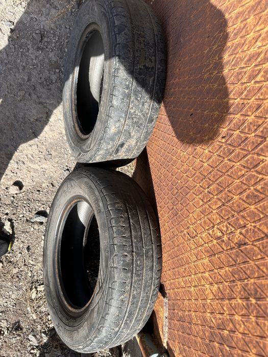 Продаммшины R14 cordiant