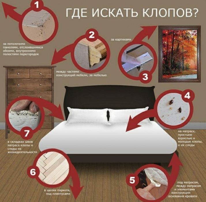 Tezkor va kafolatli dezinfeksiya