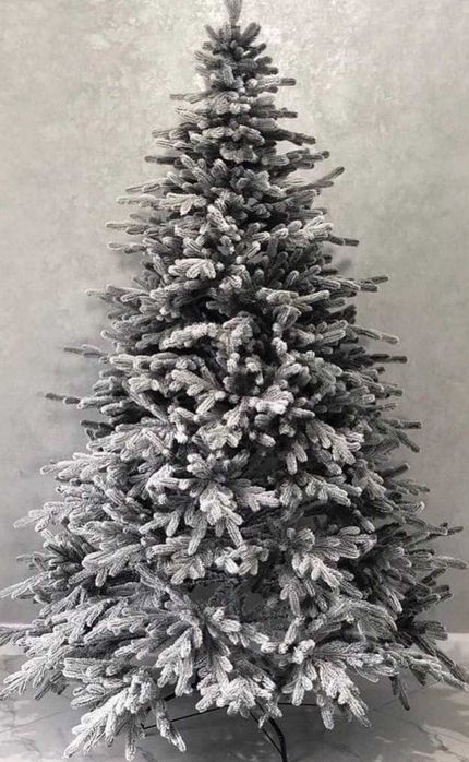 Ёлка Сибирь привозная импорт