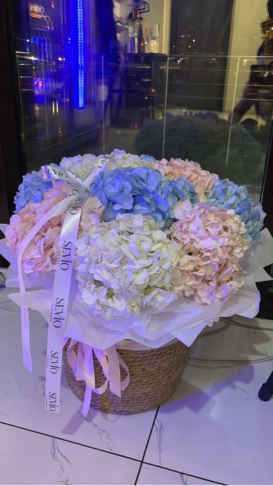 Цветы гортензия новые