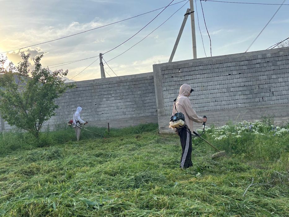 Газон шоп ору покос траву