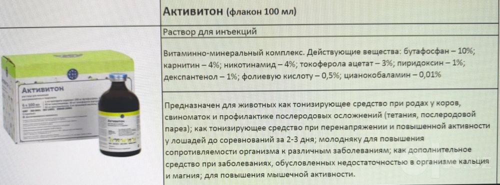 Активитон Витаминный коктейль для вашего питомца.