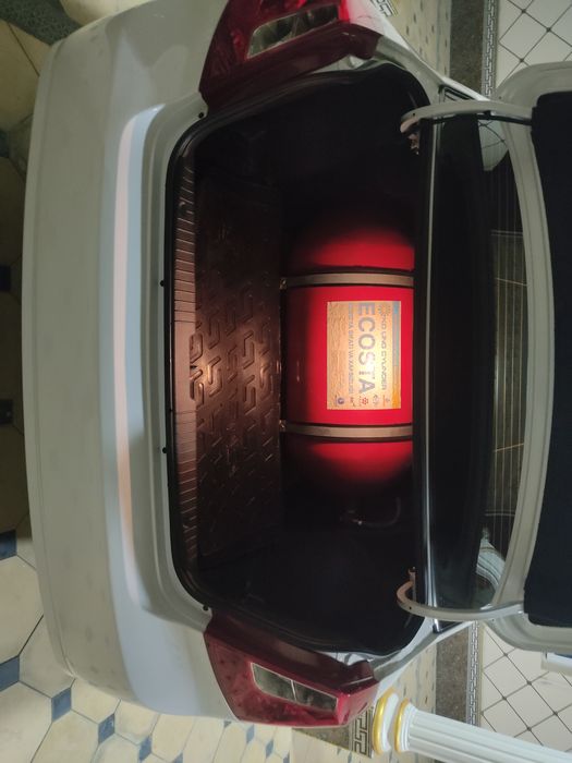 Jentira elegant pilus