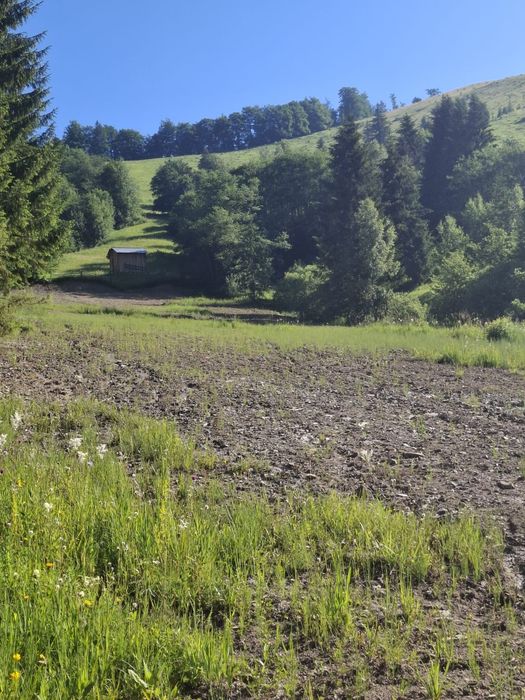 Teren Petru Vodă, Neamț