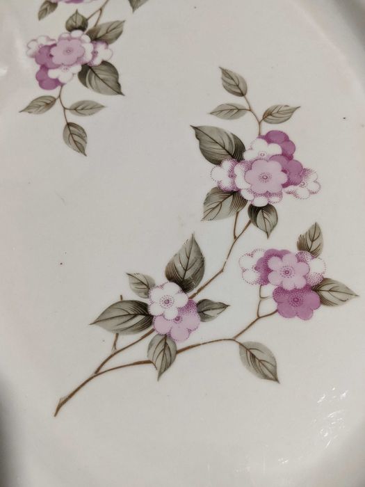 Големи елипсовидни плата