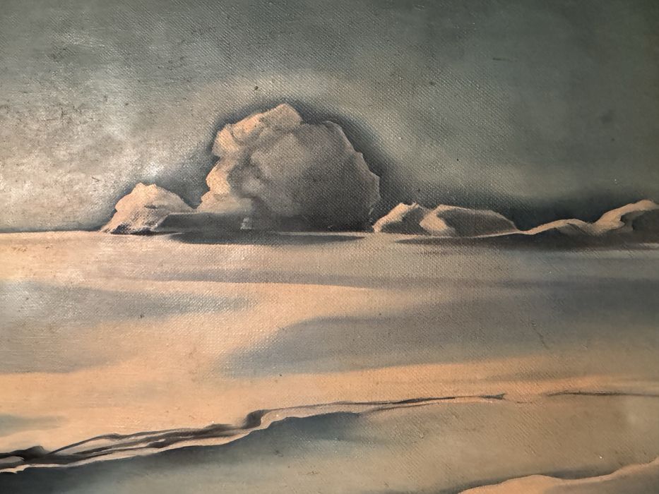 Tablou cu peisaj polar Mircea Vaideanu