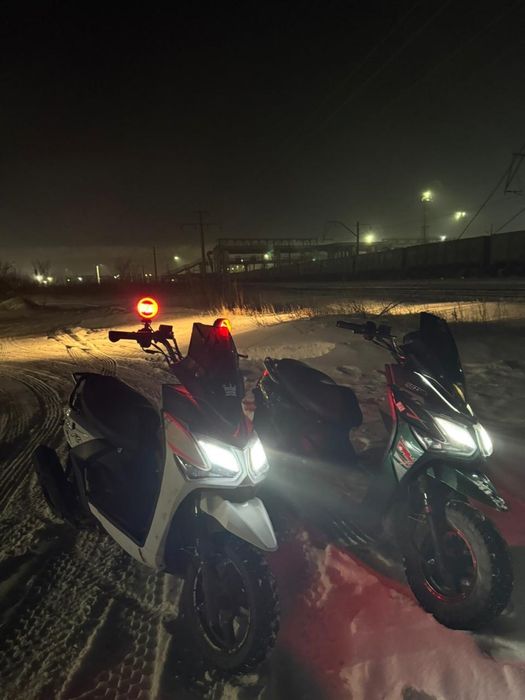 Обменяю белый самурай бенали