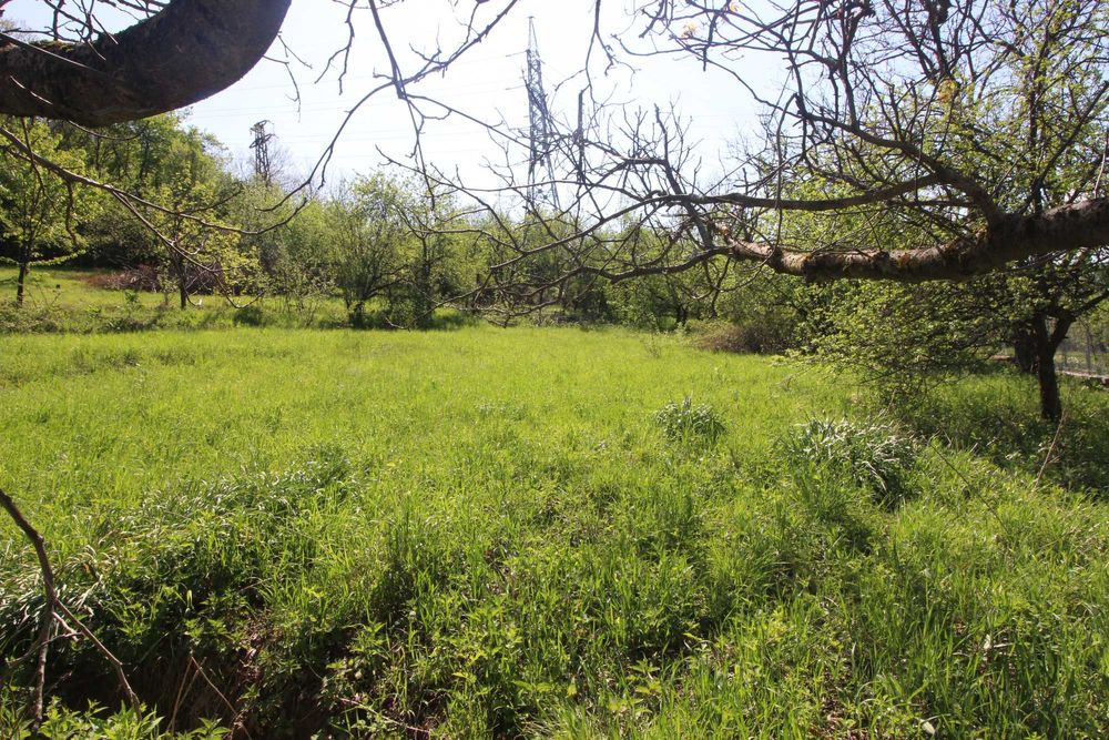 Продава се Земеделски имот в Габрово, Бичкиня -  кв.м за 5 €/дка - Снимка #5