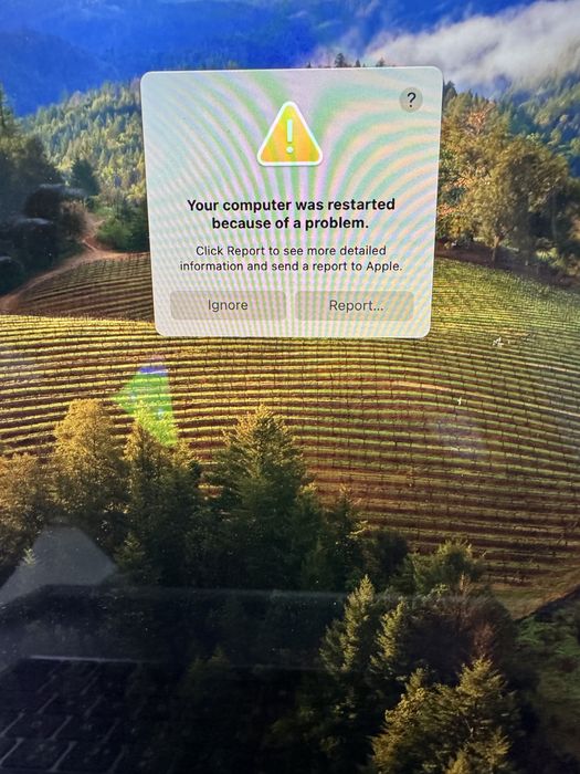 Macbook  model A2161