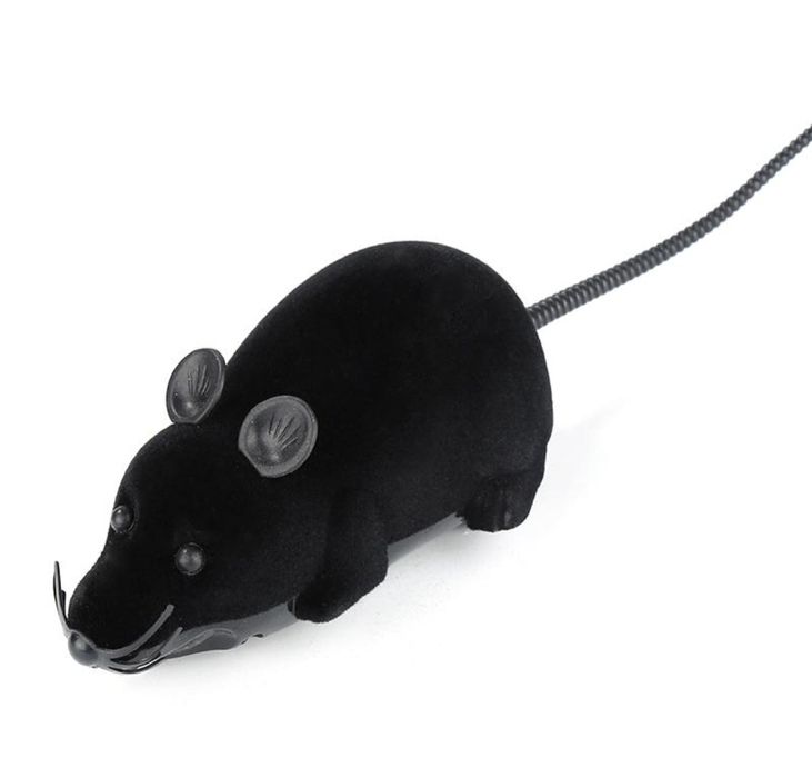 Заводная мышка с пультом