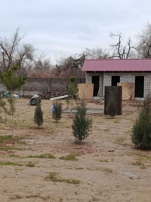 Продаётся дача 6 соток в Пскентском районе Прописка, Кадастр имеется