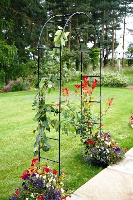 Арка за рози и увивни растения, цветя сватбен дом градина хотел парк