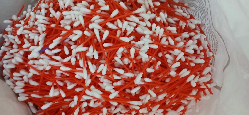 Katta sikilgan mushuk