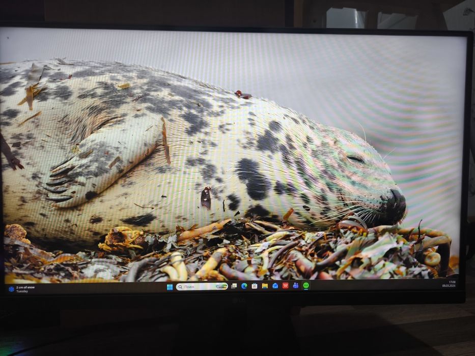 Монитор 27" LG 27MP400-B