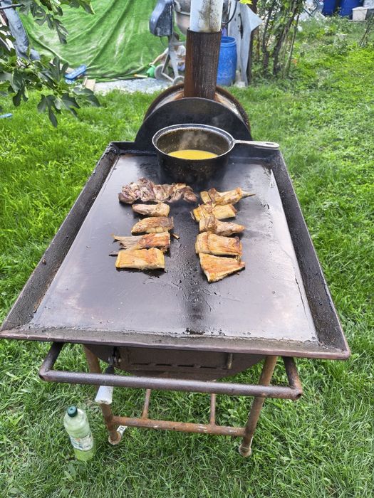 PLITA PE LEMNE pentru peste, scoici legume sau carne