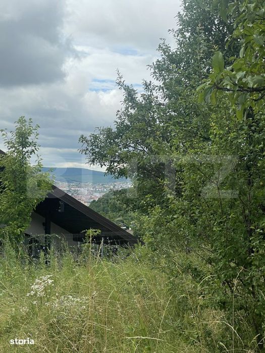 Teren intravilan de 15 ari – Valea Jelnei, str. Campului