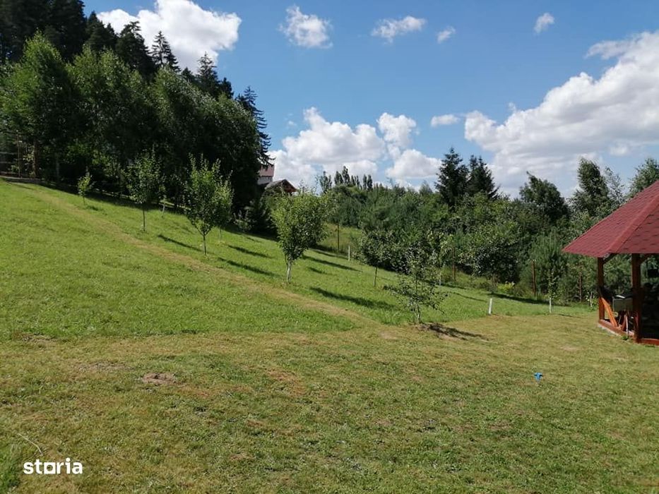 Teren intravilan de 2000 mp cu livada și foișor