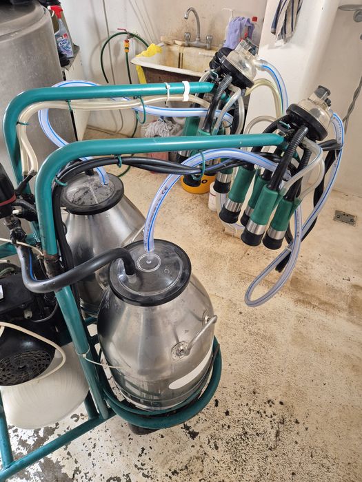 Vând aparat de muls cu 2 posturi si 2 bidoane inox