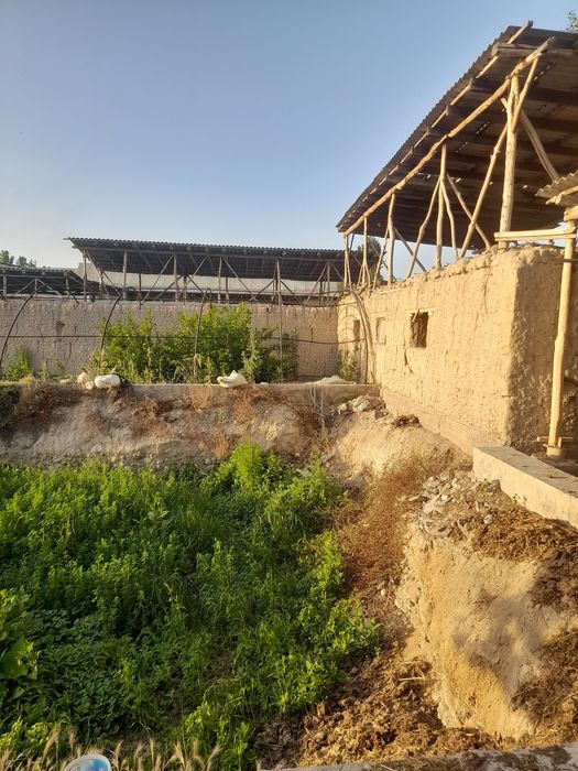 Zudlik bilan 20 sotix yer sotiladi