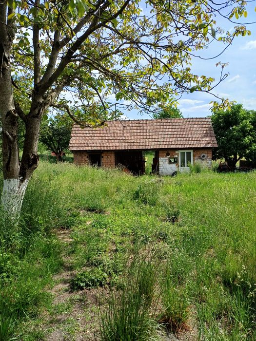 Casa de vacanță  zona liniștită