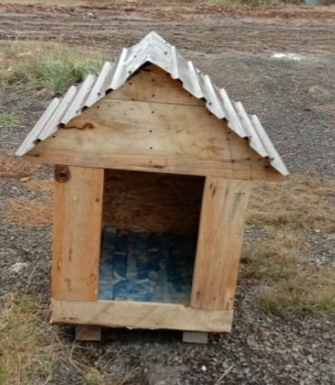 Будка для собак.