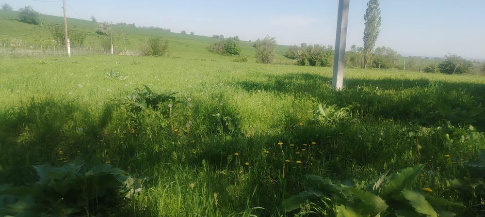Жер   сатылады..