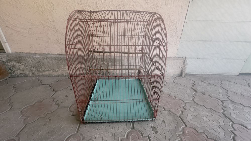 Клетка для птиц большая!