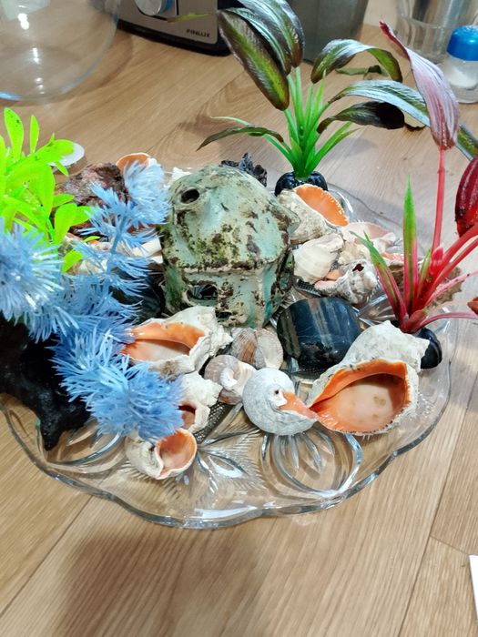 Дъно за аквариум