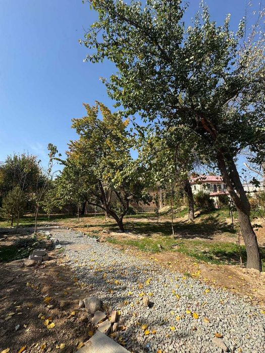 ~Сдается дом 100 м² в Мирзо-Улугбекском районе с участком 14 соток!