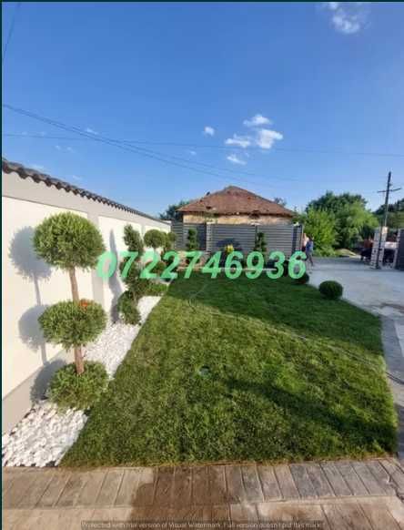 Gazon Premium cu Aspect Natural și Prindere Rapidă