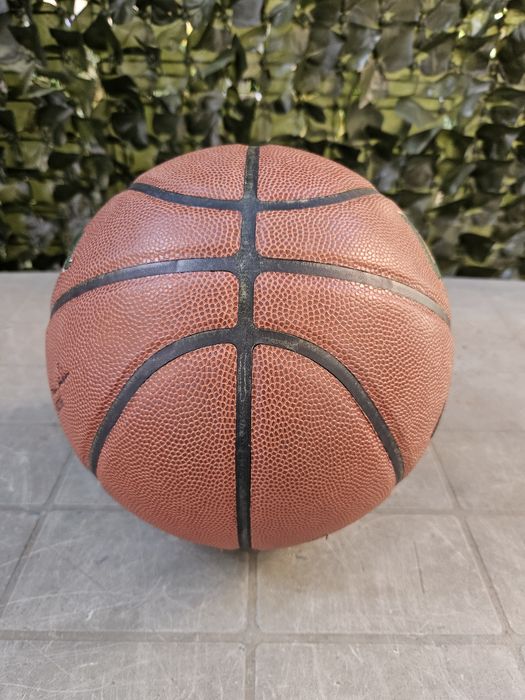 Minge basket Wilson nba