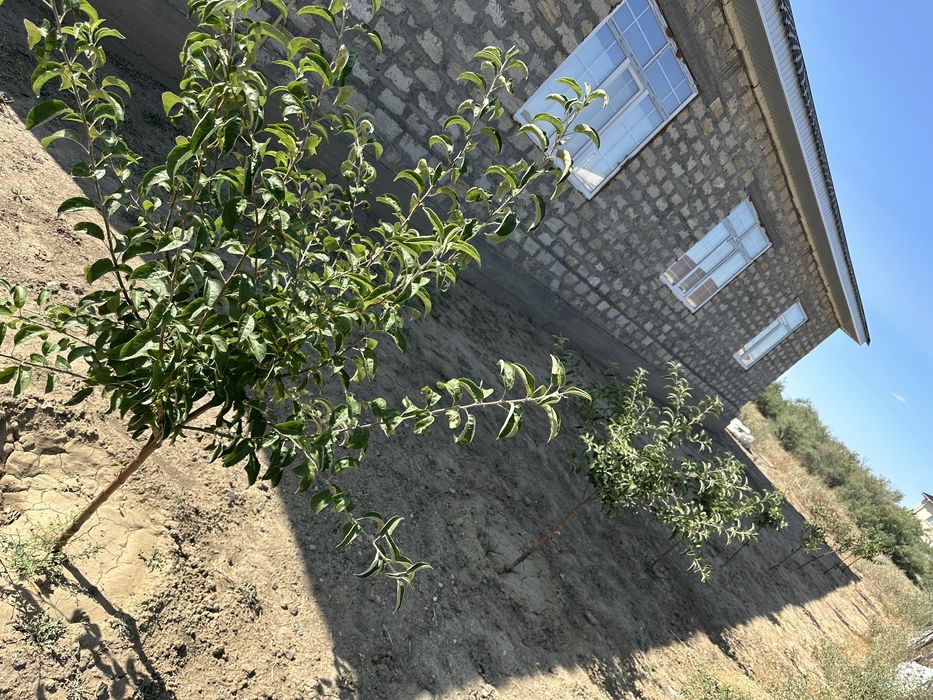 Большой Дом с времянкой